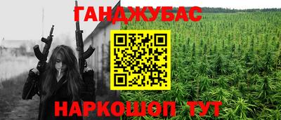 ешки Гай