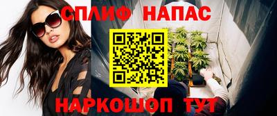 ешки Гай