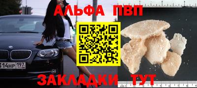 ешки Гай