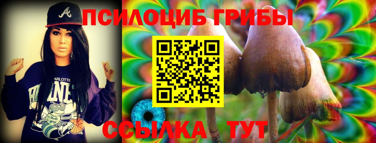 Дагестанские Огни  Галлюциногенные грибы ЛСД  купить наркотик  Вход с VPN 